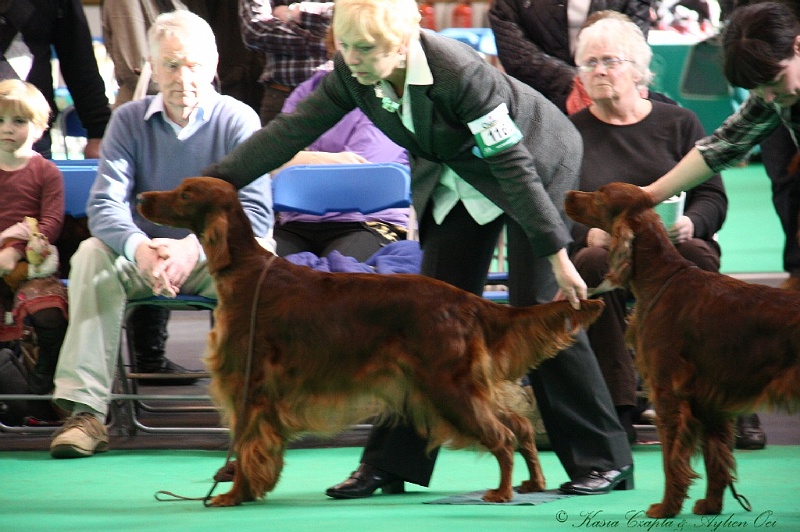 Crufts2011 753.jpg